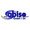 Logo Obise Srl
