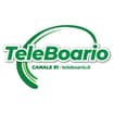 Logo R.b.1. Teleboario Sb Srl