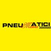 Logo Pneumatici Matera Srl