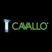 Logo Diagnostica Cavallo Srl
