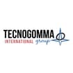 Logo Tecnogomma International Spa