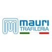 Logo Trafileria A. Mauri E Figli Spa