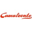 Logo Camaleonte Spa