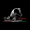 Logo Ss Agricola Mg Arabians