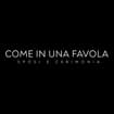 Logo Come In Una Favola Srl