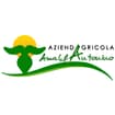 Logo Amalfa Antonino