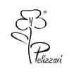 Logo Pelizzari Pier Claudio