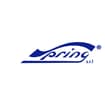 Logo Spring Srl