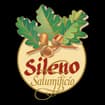 Logo Sileno Giovanni S.a.s. Di Antonio Sileno & C.