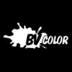 Logo B.v. Color Srl