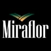 Logo Miraflor Sas Di Tessari Carlo & C.