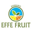 Logo Effe Fruit Srl Società Agricola Semplificata