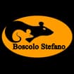 Logo Boscolo Stefano
