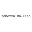 Logo Roberto Collina Srl
