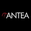 Logo Antea Srl