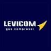 Logo Levicom Srl