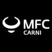 Logo M. F. C. Srl