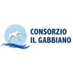 Logo Consorzio Il Gabbiano Società Cooperativa