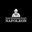 Logo Hotel Napoleon Di Marti Sara E C. S.a.s.