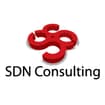 Logo S.d.n. Consulting S.a.s. Di Sardilli Nazzarena & C. In Sigla S.d.n. Consulting S.a.s.