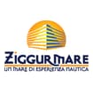Logo Ares Tours S.a.s. Di Ferro Alessandra