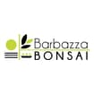 Logo Barbazza Bonsai Srl