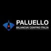 Logo Paluello Bilanciai Centro Italia Srl