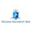 Logo Pegaso Security Spa