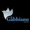 Logo Il Gabbiano - Società Cooperativa Sociale