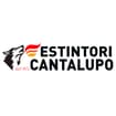 Logo Cantalupo Vincenzo