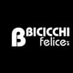 Logo Bicicchi Felice Srl