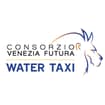 Logo Consorzio Venezia Futura