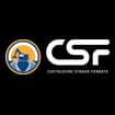 Logo Csf Costruzioni Strade Ferrate Srl
