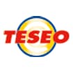 Logo Teseo Internet Provider Srl In Sigla Teseo.it Srl
