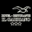 Logo Il Gabbiano Srls