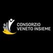 Logo Veneto Insieme - Società Cooperativa Sociale Consortile
