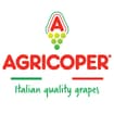 Logo Agricoper Di Gianni Liturri Srl Ta In Sigla Agricoper Di Gianni Liturri Srl