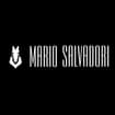 Logo Salvadori Mario Di Salvadori Alberto S.a.s.