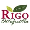 Logo Rigo Davide
