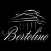 Logo Bertolino Riccardo