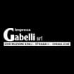 Logo Impresa Gabelli Srl