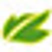 Logo Gastronomia Primavera Srl