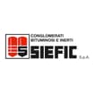 Logo S.i.e.f.i.c. Spa.