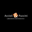 Logo Accioli & Puccini Srl