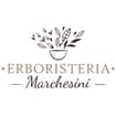 Logo Erboristeria Marchesini Srl