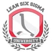 Logo The Lean Six Sigma Company Italia Srl