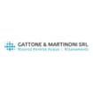 Logo Gattone & Martinoni Srl