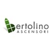 Logo Bertolino Nicolo'