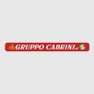 Logo Gruppo Cabrini Srl