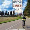 Logo Marche Bike Life Srl